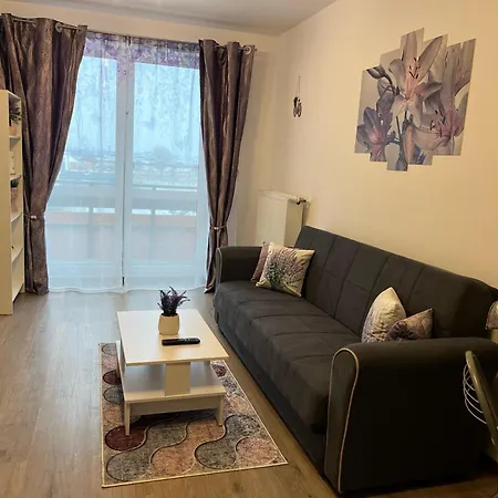 Casa cu lavanda-3